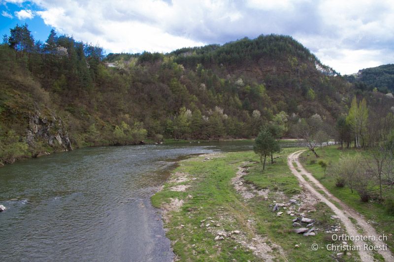 Fluss Arda mit natürlichen Ufern - BG, Kardzhali, Stoyanovo, Arda, 22.04.2012