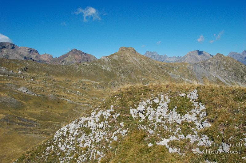 Vom Wind und Wetter geprägter Berggipfel - FR, Hautes-Alpes, Le Palastre, 04.09.2007