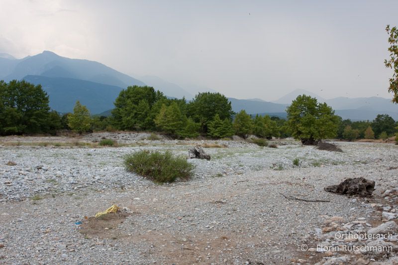 Ausgetrocknetes Flussbett - GR, Zentralmakedonien, Katerini, 02.08.2012