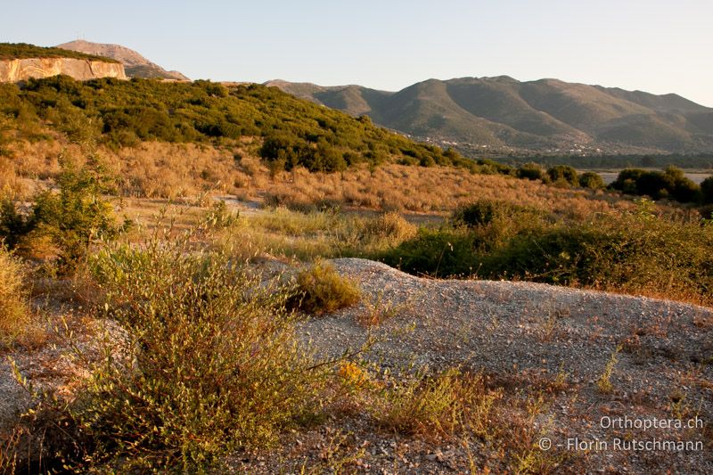 Schuttkegel eines verlassenen Steinbruchs mit spärlicher Vegetation - GR, Epirus, Ampelia, 11.07.2011
