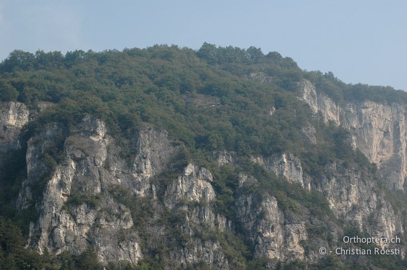 Kalkige Steilwände mit Felsspalten - IT, Trentino, Rovereto, 29.09.2006