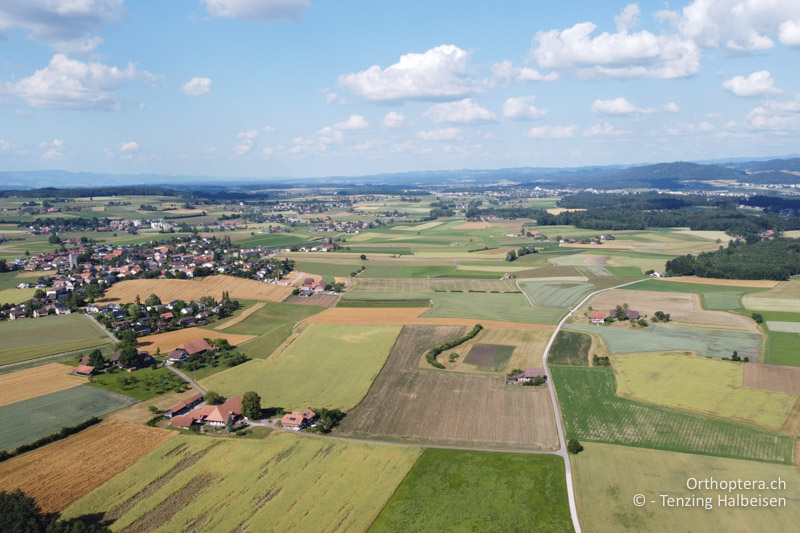 Felder beim Uettligen