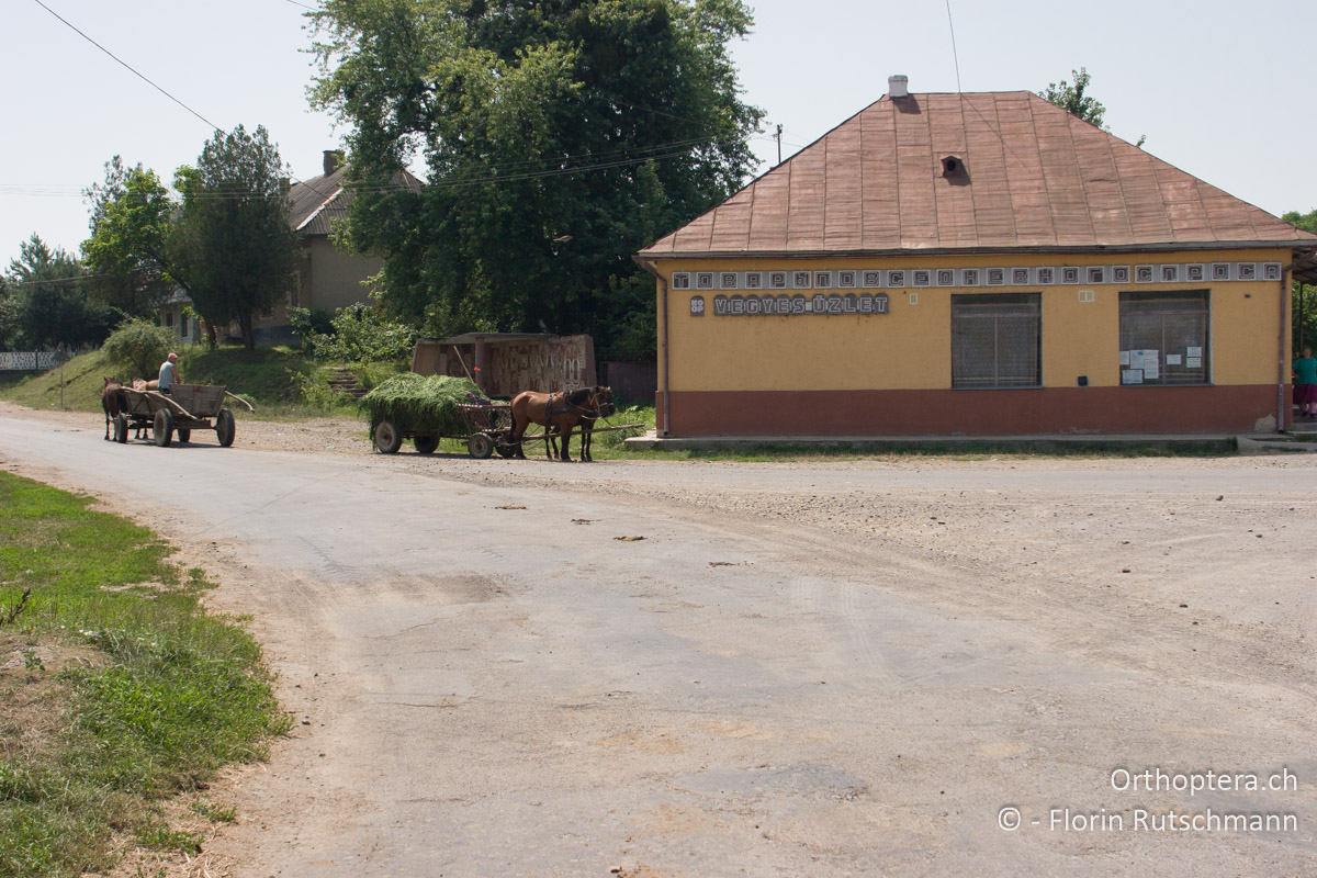 20.07.2007 Die ersten Meter auf ukrainischen Strassen in Mali Selmentsi. Die Unterschiede sind deutlich sicht- und spürbar. Ukraine