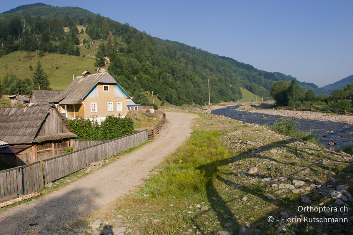 24.07.2007 Morgentliche Karpatenidylle am Dorfrand von Rus'ka Mokra (Руська Мокра). Ukraine
