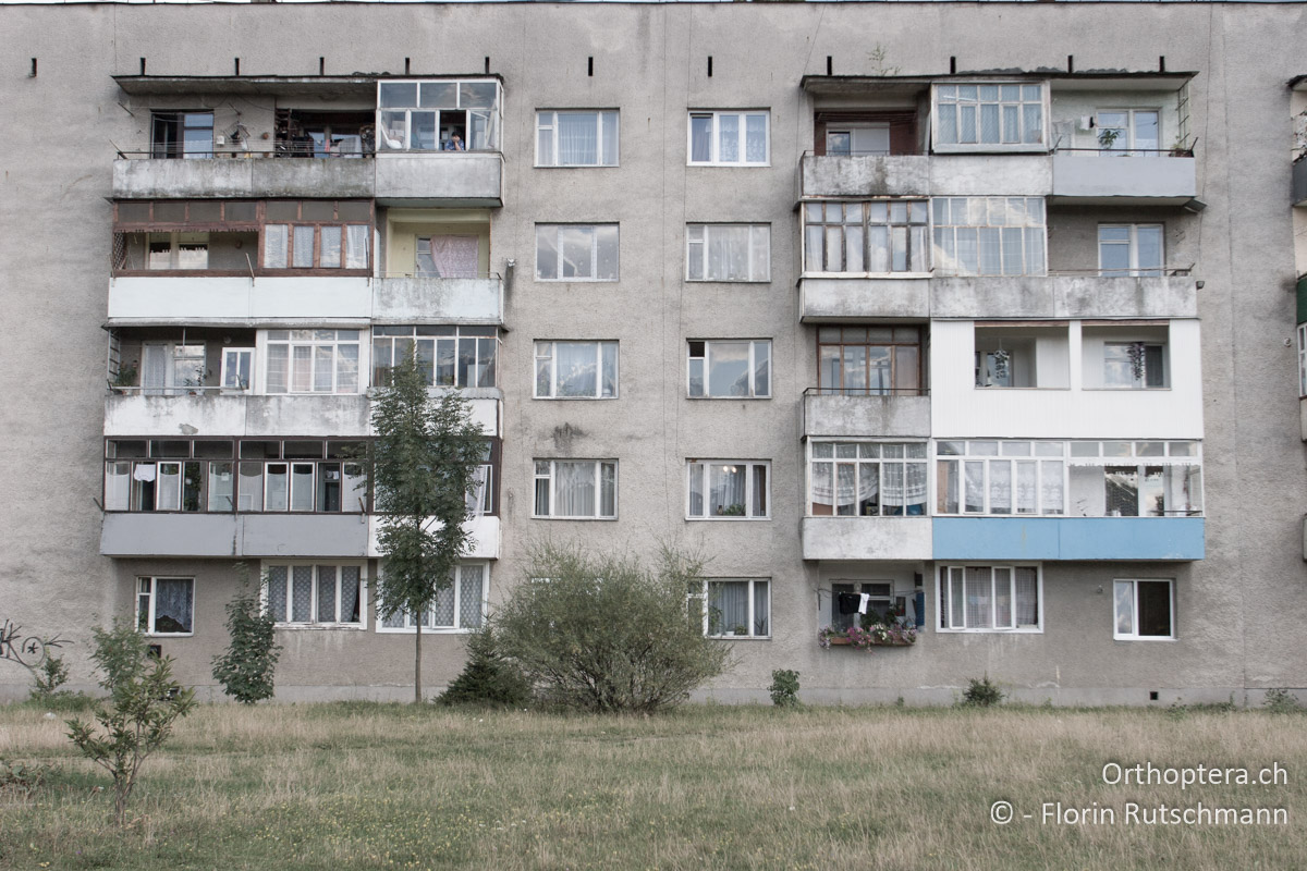 25.07.2007 Die Plattenbausiedlungen bieten stets eine unerschöpfliche Fundgrube für Fotomotive. Hier in Svaliava (Свалява). Ukraine
