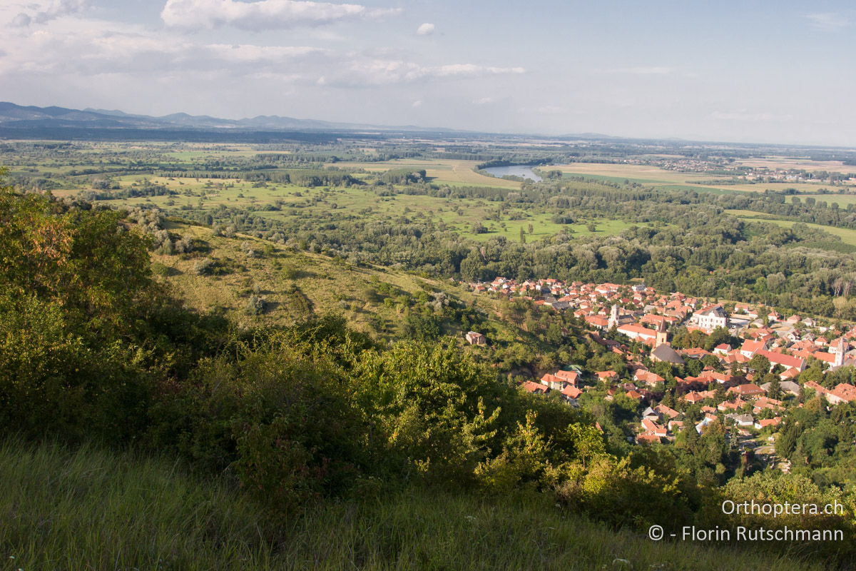 31.07.2007 Blick vom Tokajer-Berg auf die schmucke Stadt Tokaj und die meist strukturreiche Kulturlandschaft. Ungarn