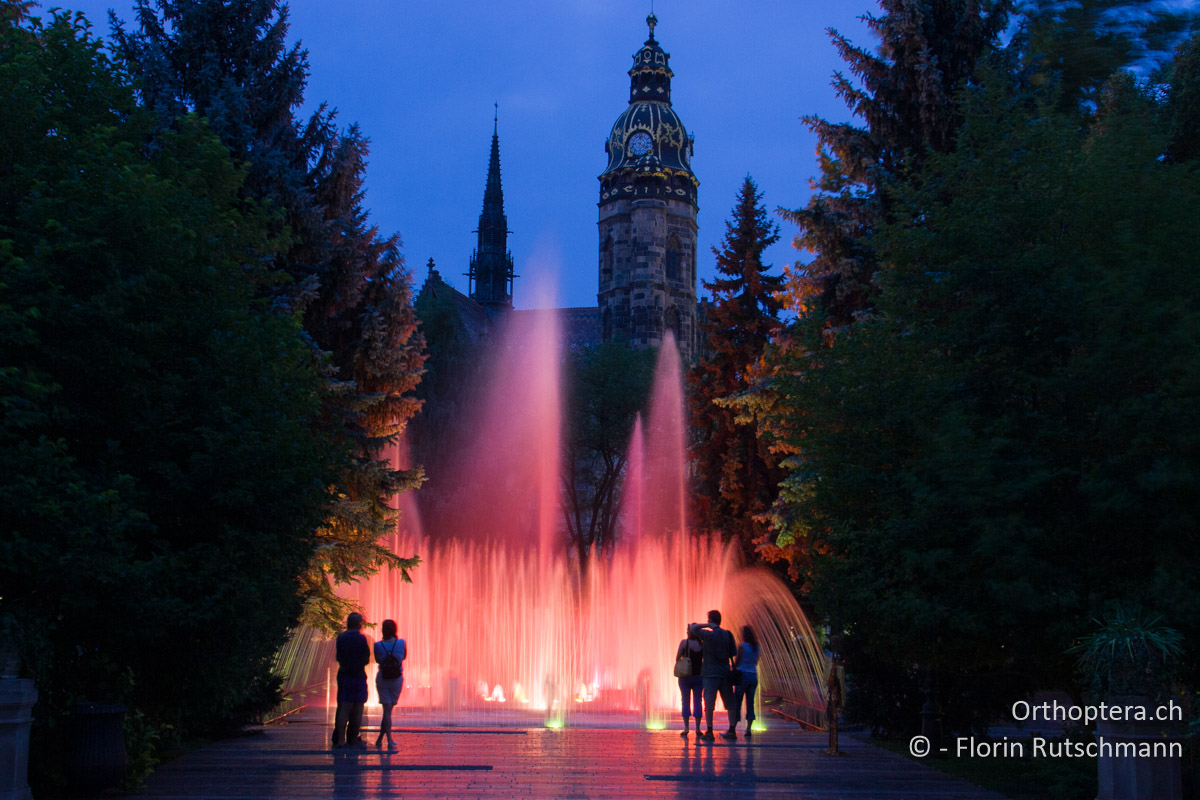 03.08.2007 Abendliche Lichtshow am Brunnen vor dem Elisabeth-Dom synchron zu Phil Colins, den Beatles oder Sheryl Crow in Košice. Slowakei