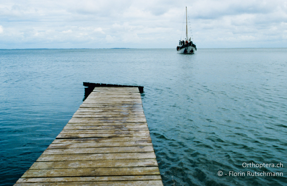 01.09.2004 Bootssteg auf der Meer abgewandten Seite der Kurischen Nehrung. Litauen