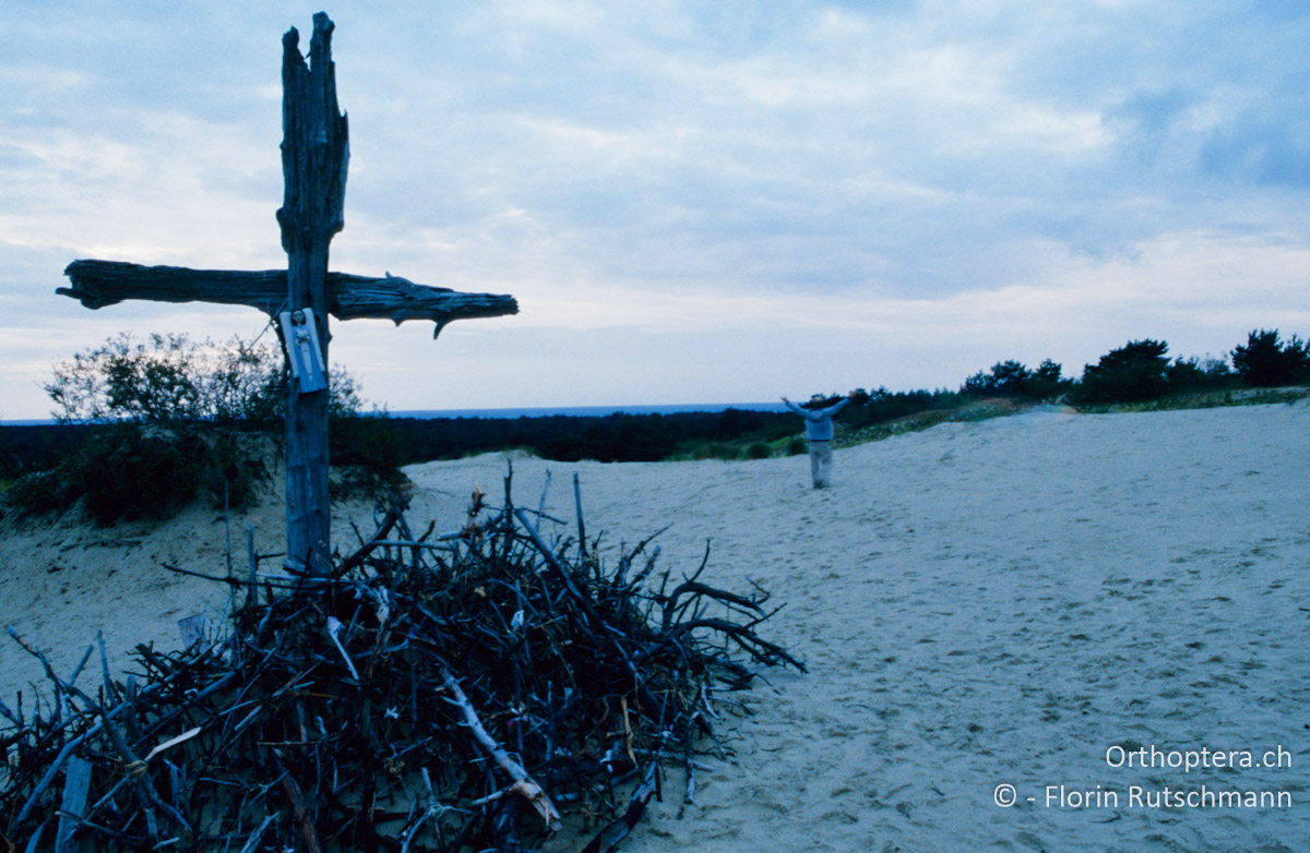 01.09.2004 Das Tal des Todes auf der Kurischen Nehrung bei Nidda. Litauen