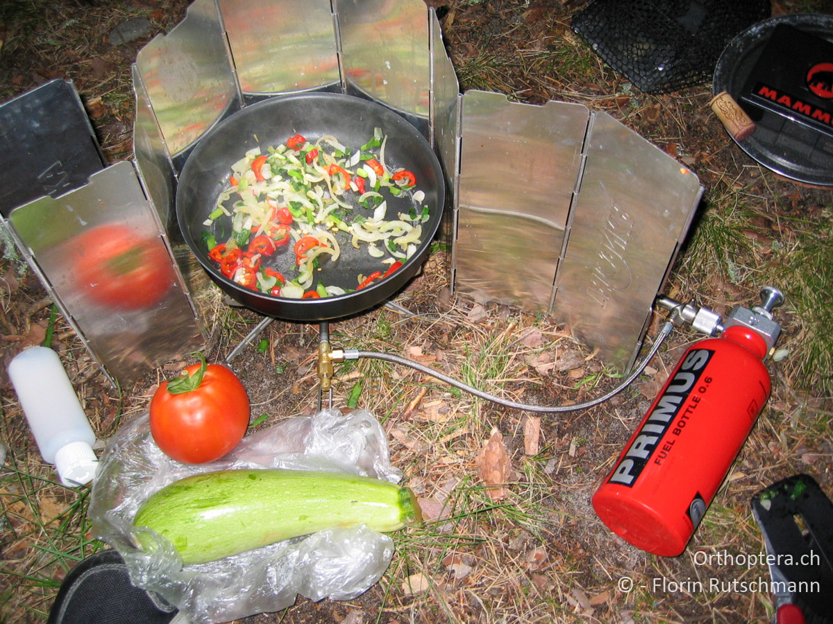 21.08.2004 Unsere rein vegetarische Reiseküche ist zwar aufwendig, jedoch immer schön farbenfroh. Bei Engure. Lettland