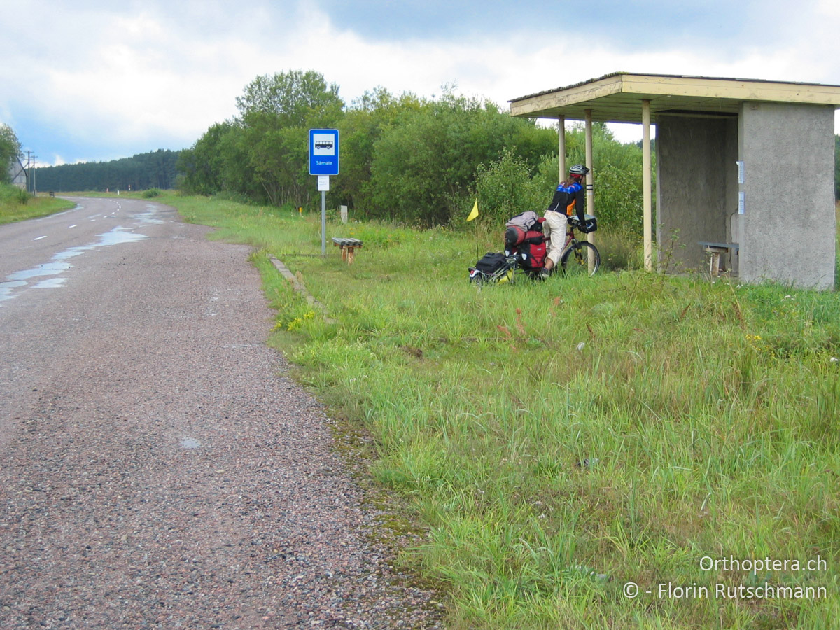26.08.2004 2. Balt'sches Naturgesetz - Setzt Regen ein, ist ein Bushäuschen in unmittelbarer Nähe. Lettland