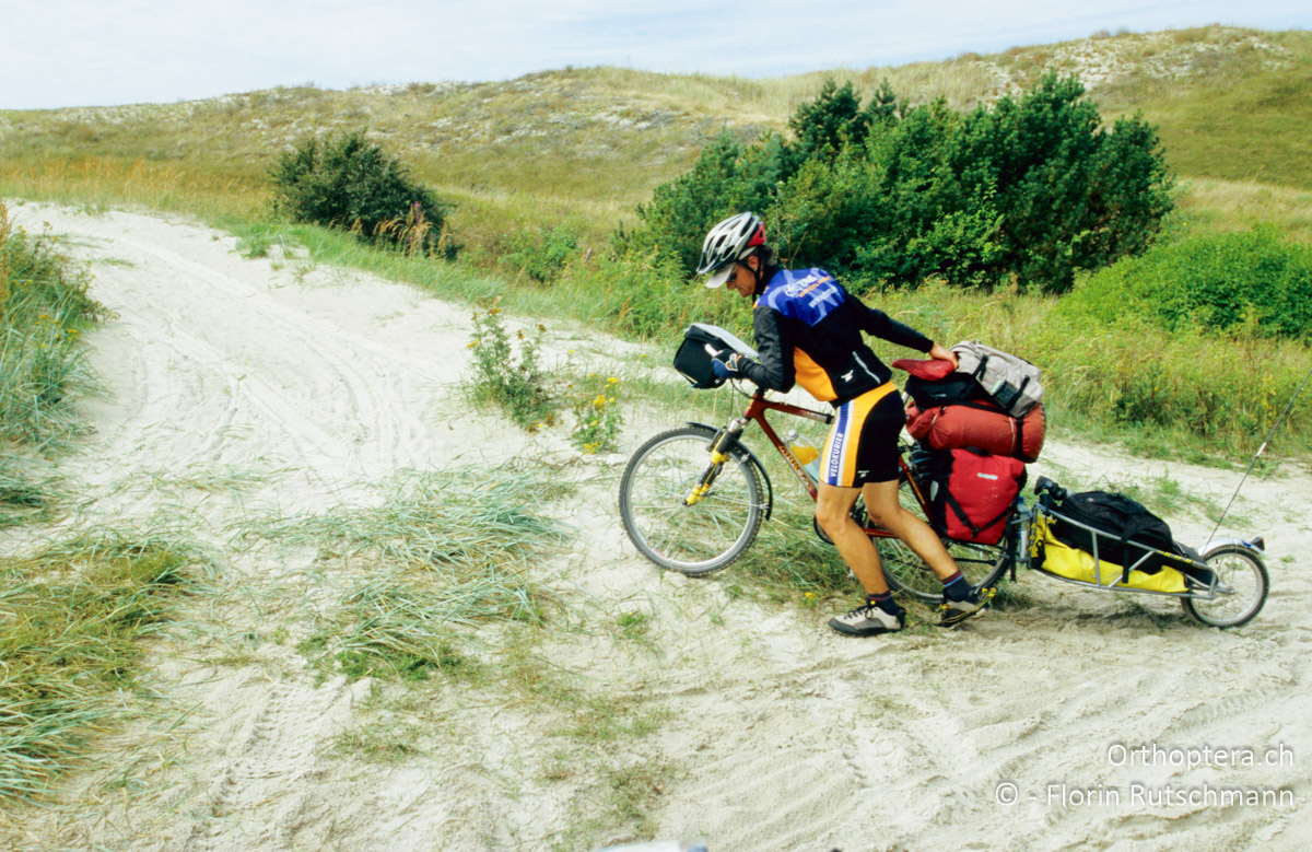 30.08.2004 Aber nicht immer ist der Fahrradweg auf der Kurischen Nehrung eine so plane Piste. Litauen