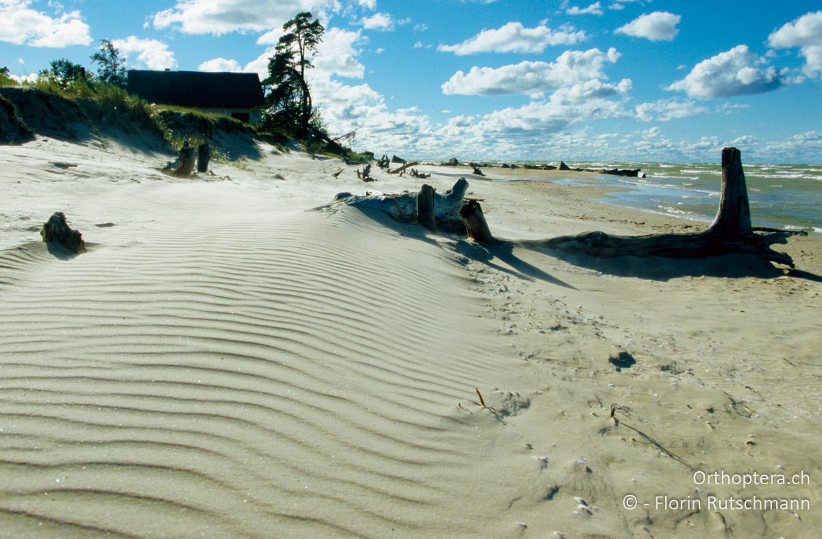 23.08.2004 Reste aus der militärischen Sperrzone am Strand bei Kolkasrags. Lettland