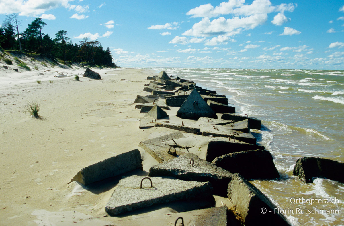 23.08.2004 Entlang der Küste im Slīteres Nationalpark finden sich immer wieder Reste der Russischen Armee. Bei Kolkasrags. Lettland