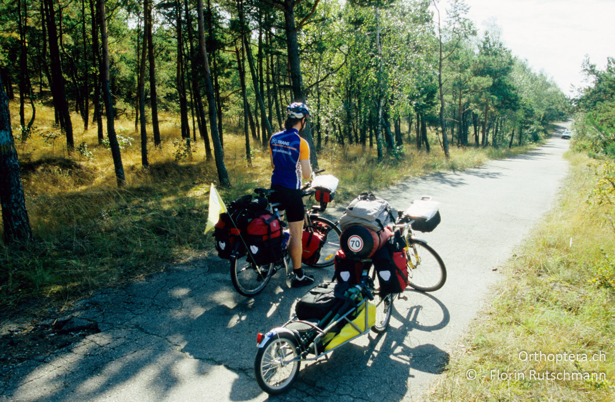 30.08.2004 Der Fahrradweg entlang der Küste der Kurischen Nehrung führt durch traumhafte Landschaft. Litauen