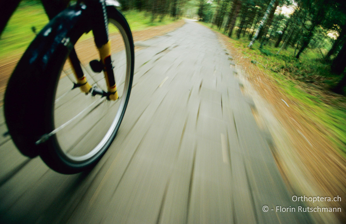 30.08.2004 Ist die Piste hingegen planiert, gehts ab, wie die Post. Litauen