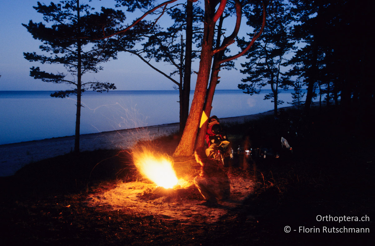 21.08.2004 Abendstimmung am Meer bei Engure. Mit dem Feuer ist höchste Vorsicht geboten, der Wald trocknet auf dem sandigen Untergrund rasch aus. In weiten Teilen ist während der Sommermonate das Feuern verboten. Lettland