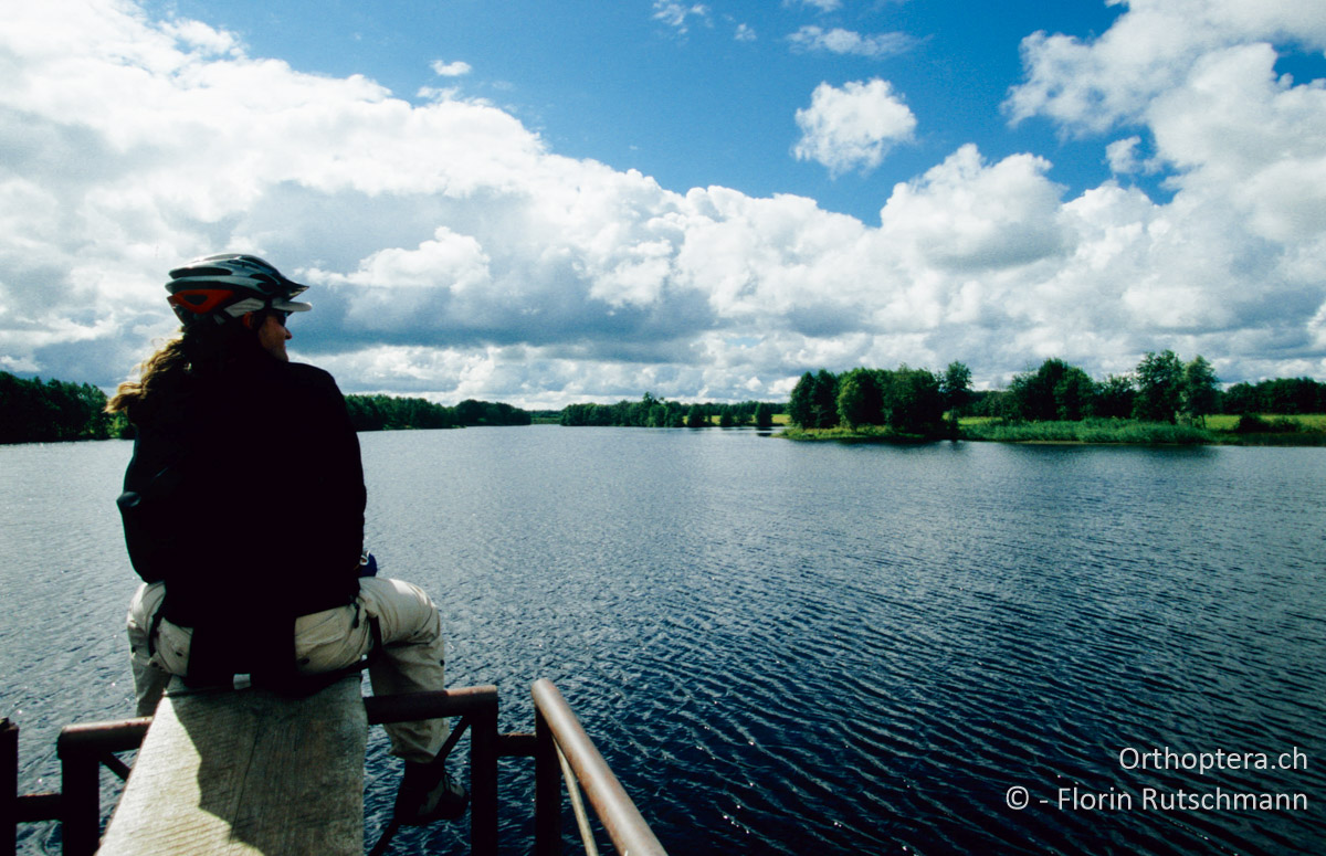 12.08.2004 Ausblick von einem Sprungbrett über den Stausee bei Vihula. Estland