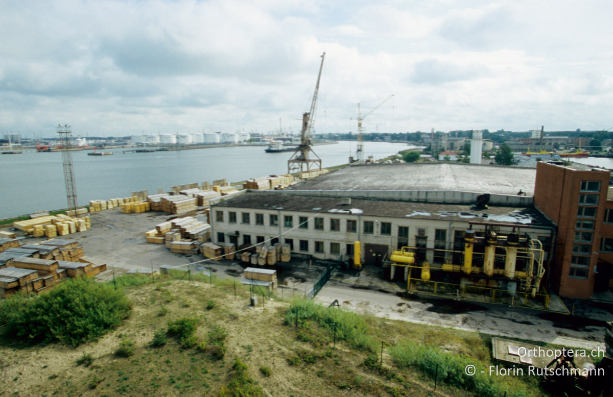 25.08.2004 Das rücksichtslose Wirtschaften und die gigantischen Ausbaupläne Ruslands für den Hafen von Ventspils, liessen hier eine kritische Umweltbewegung entstehen. Lettland