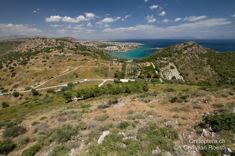 Offene, kalkige Küstenlandschaft - GR, Attika, Athen, 24.05.2013