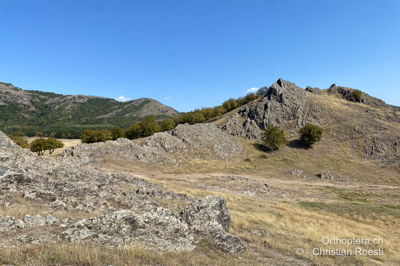 Felsrücken im Măcin-Gebirge - RO, Dobrudscha, Greci, 13.09.2023