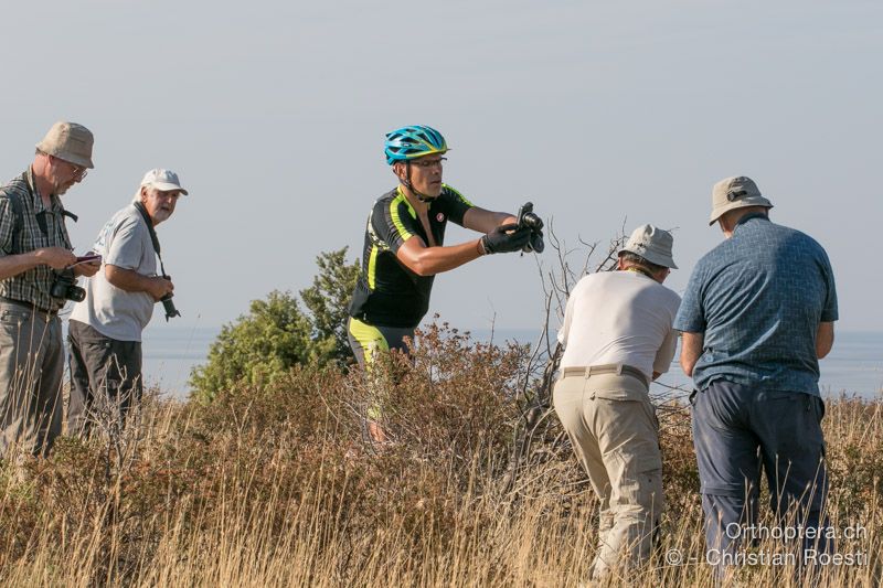 Sogar ein Biker wollte die Sattelschrecken fotografieren - HR, Istrien, Premantura, 22.07.2015