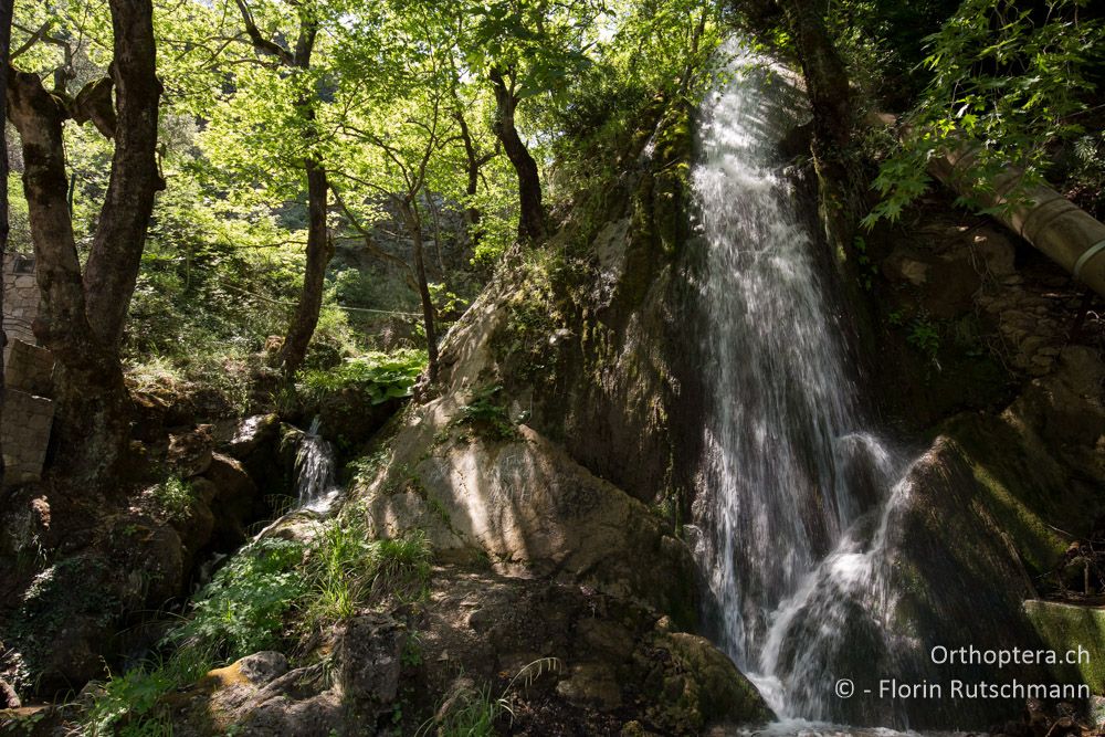 Künstlicher Wasserfall - GR, Mittelgriechenland, Mt. Iti, 14.06.2015