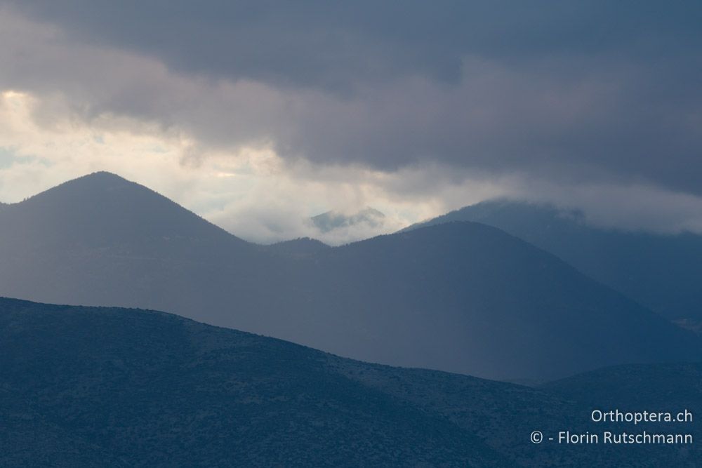 Lichtstimmung nach Regenschauer - GR, Mittelgriechenland, Itea, 08.06.2015