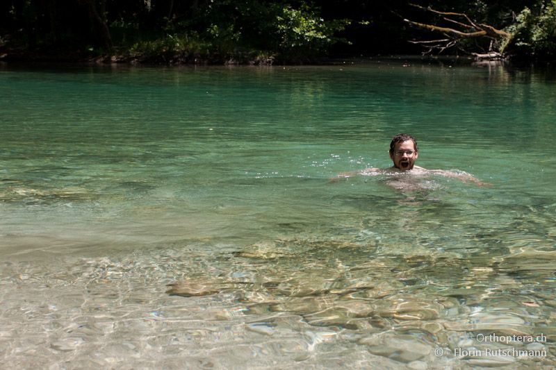 Auch eine Rundumwäsche kann nicht schaden! Nur war das Wasser unvorstellbar kalt (schätzungsweise kaum über 5° C) - Papigko, 16.07.2012