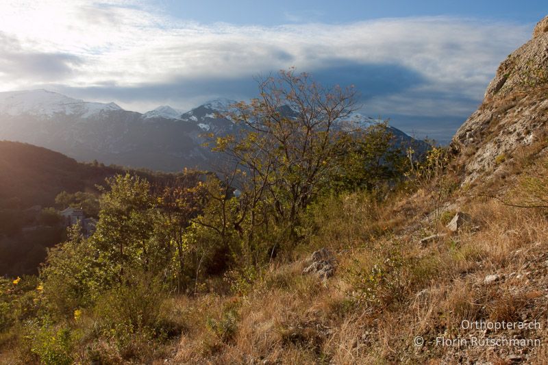 Lockere Vegetation mit offenem Boden und offenen Felsflächen - IT, Abruzzen, Gessopalena, 10.10.2011