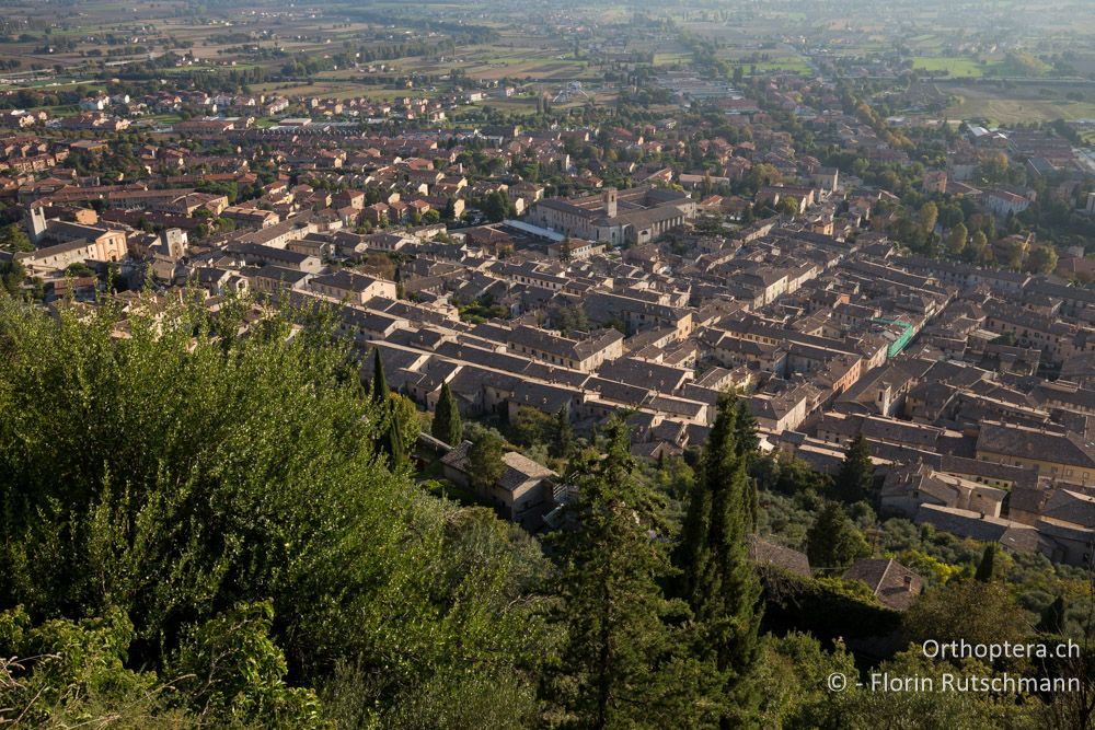 Blick auf die Stadt Gubbio - IT, Umbrien, Gubbio, 04.10.2014