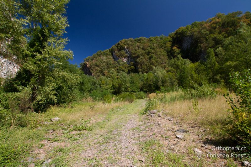 Verlassener Steinbruch - CH, TI, Castel-San-Pietro, 03.09.2013