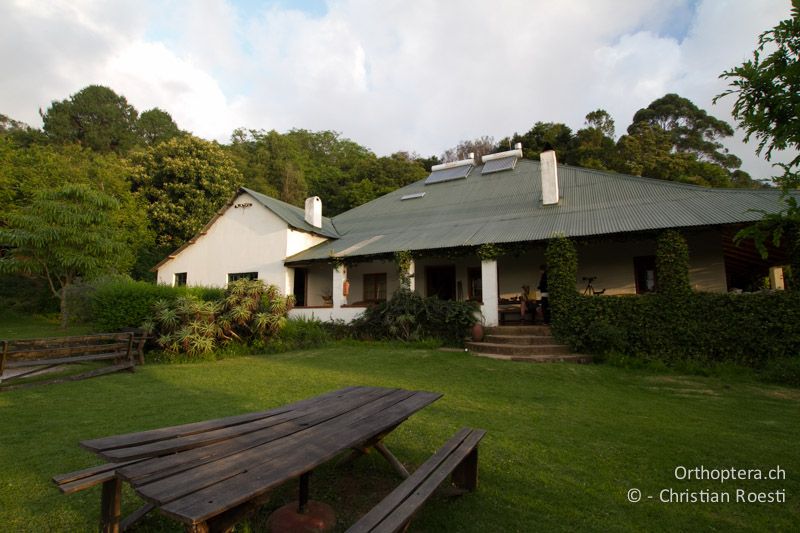 Lodge (altes Bauernhaus) - SA, Limpopo, Tzaneen, Kurisa Moya Lodge, 07.01.2015