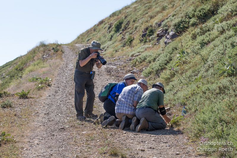 Vor der Abfahrt muss meistens noch schnell etwas erledigt sein - GR, Westmakedonien, Pisoderi am Mt. Varnous, 12.07.2017
