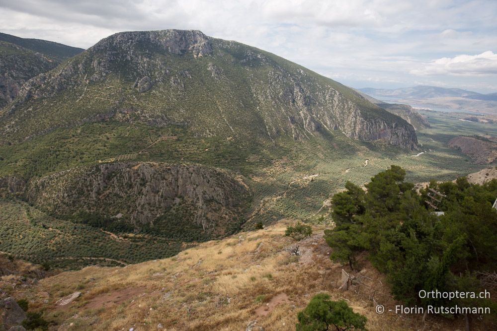 Aussicht von Delfi - GR, Mittelgriechenland, Delfi, 08.06.2015