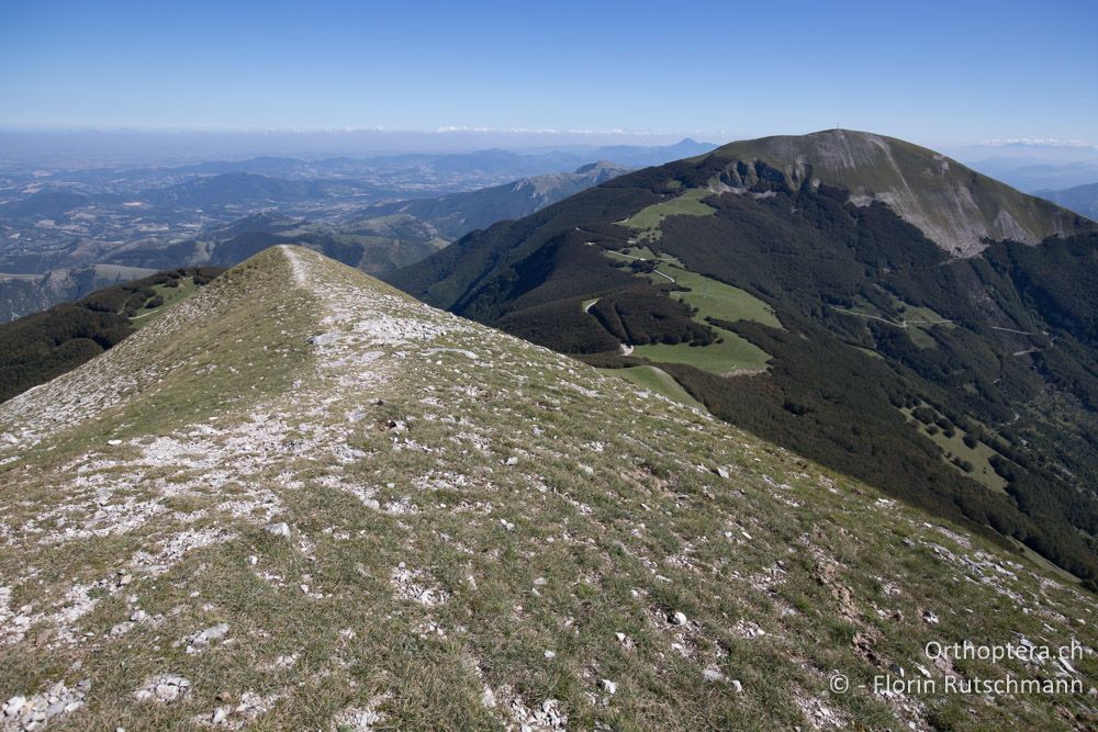 Blick zum Mt. Catria - IT, Marken, Mt. Catria, 27.09.2014