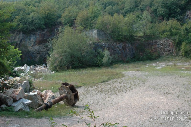 Kiesfläche in einem Steinbruch - CH, TI, Arzo, 07.09.2006