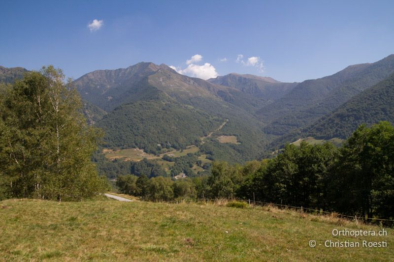 Extensive Wiesen im Vorder- und im Hintergrund - CH, TI, Isone, 04.09.2013