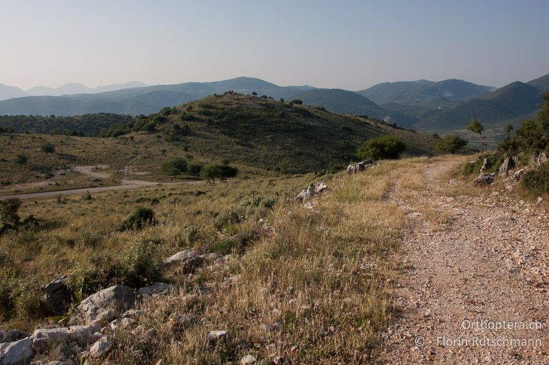 Intensives Weideland mit lückiger Vegetation und Schutt - GR, Epirus, Ampelia, 17.06.2013