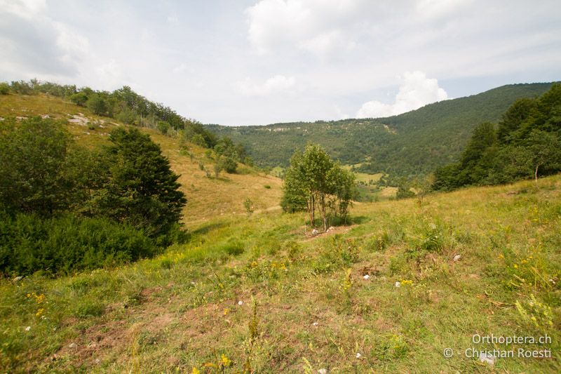 Riesige Doline im Gebirge - HR, Istien, Mt. Učka, 24.07.2015