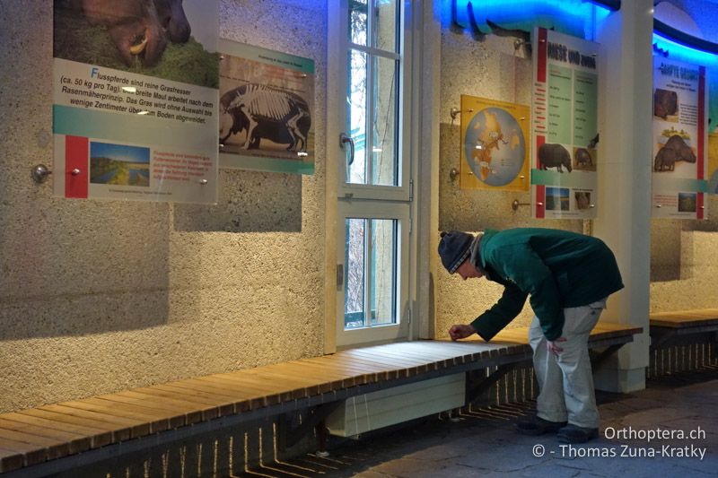 Im Tiergarten Schönbrunn - AT, Wien, Tiergarten Schönbrunn, 25.01.2017