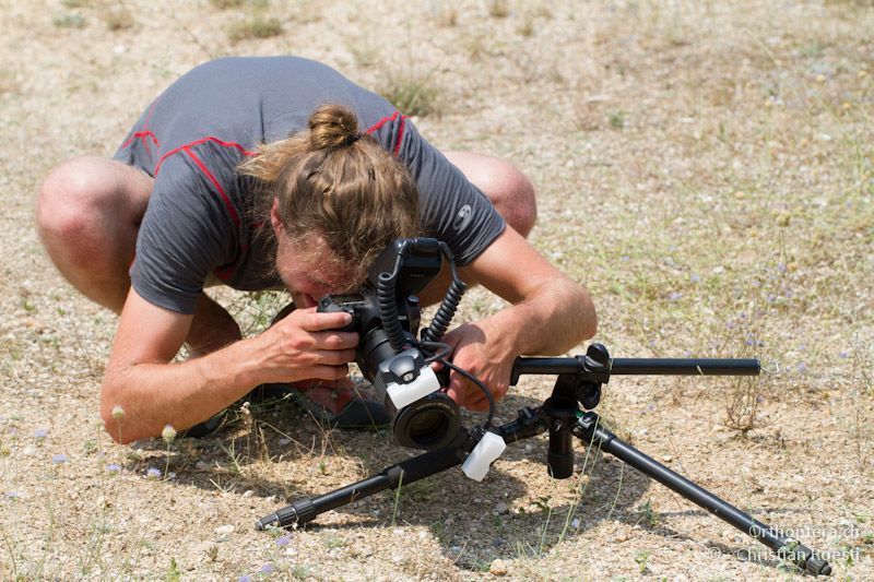 Der Sand war dermassen heiss, das wir beim Fotografieren von Oedipoda miniata nicht auf den Boden liegen konnten - Appolonia, 10.07.12