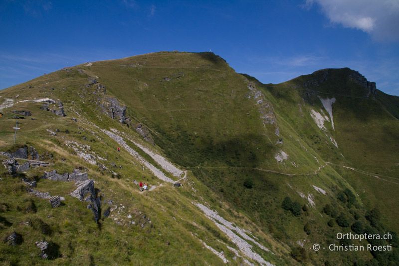 Ostflanke mit Erlengebüschen - CH, TI, Mt. Generoso, 18.08.2013