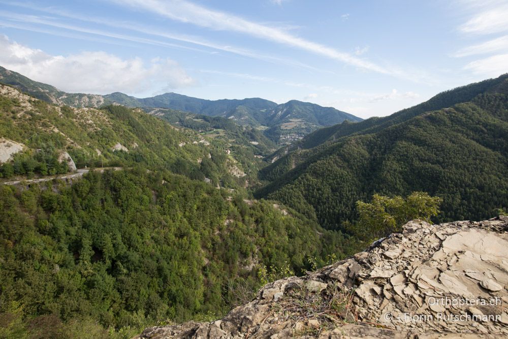 Gebirgslandschaft - IT, Emilia-Romagna, Campigna, 22.09.2014