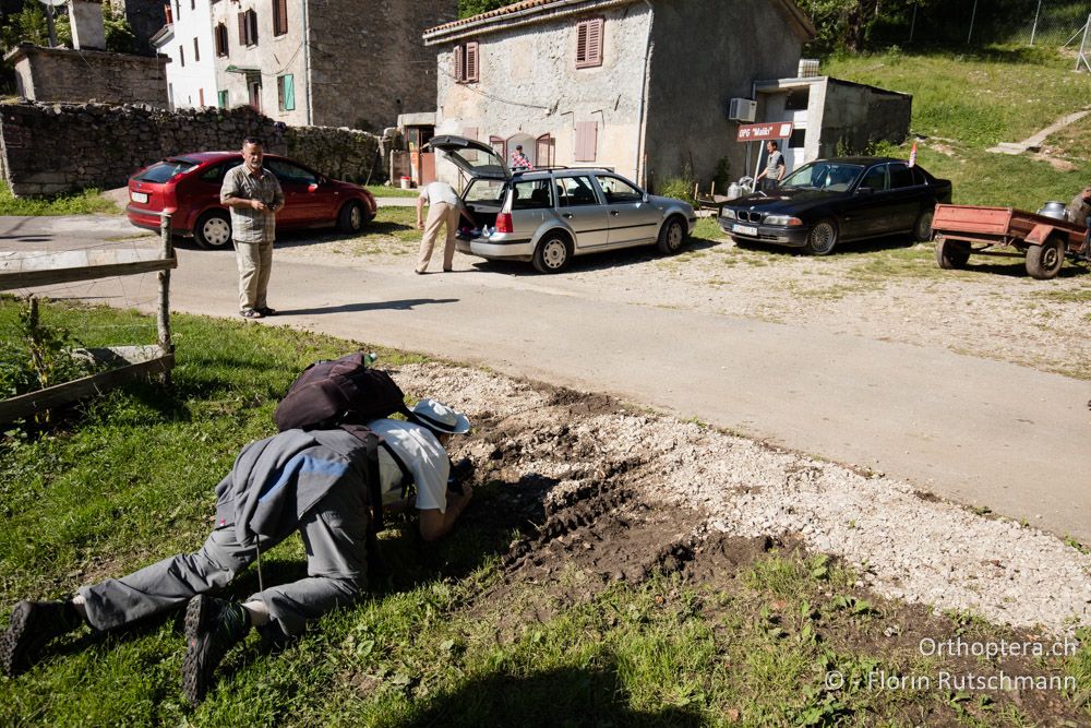 Bei unseren Aktionen werden wir doch ab und zu etwas komisch beäugt - HR, Istrien, Mela Učka, 22.06.2016