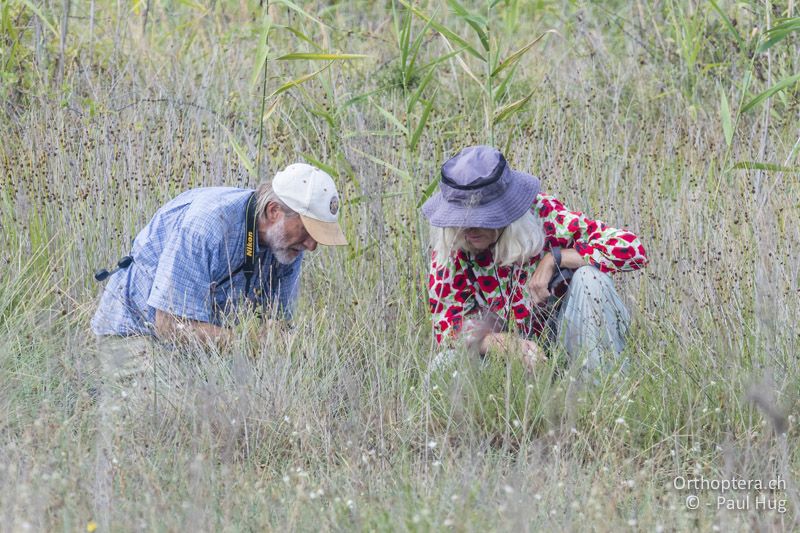 Vier Augen sehen mehr als zwei – Brigitte und Edgar - GR, Zentralmakedonien, Korinos, 15.07.2017