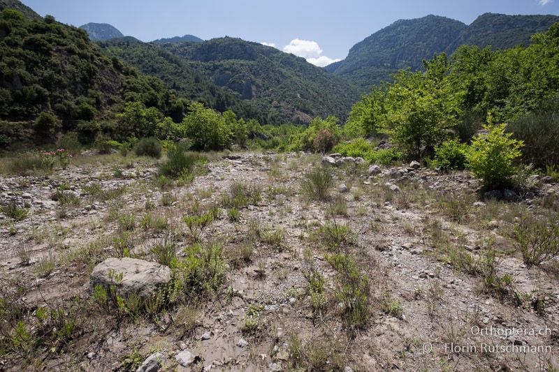 Feuchter Schlick und Sand im Geröll eines Bergbachs - GR, Mittelgriechenland, Ypati, 14.06.2015