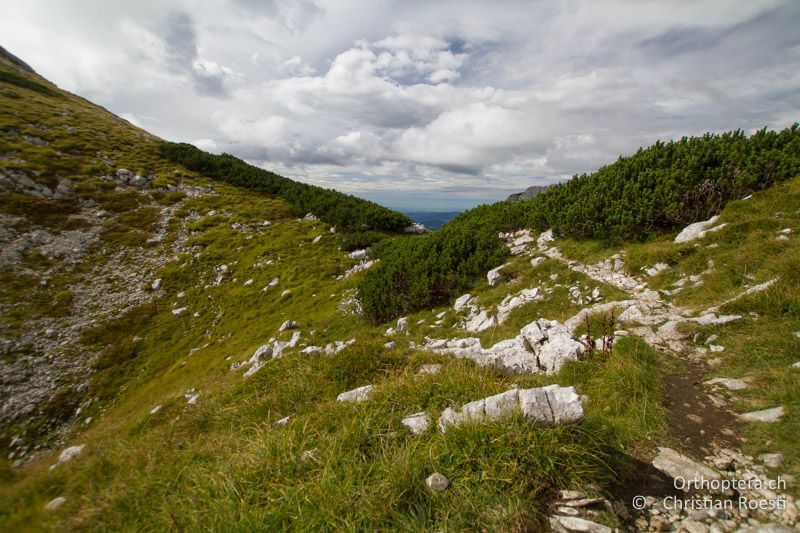 Karstige Bergwiesen - SLO, Goriška, Tolmin, Mt. Vogel, 19.09.2016