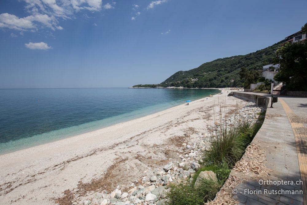Badestrand - GR, Thessalien, Pelion, 16.06.2015
