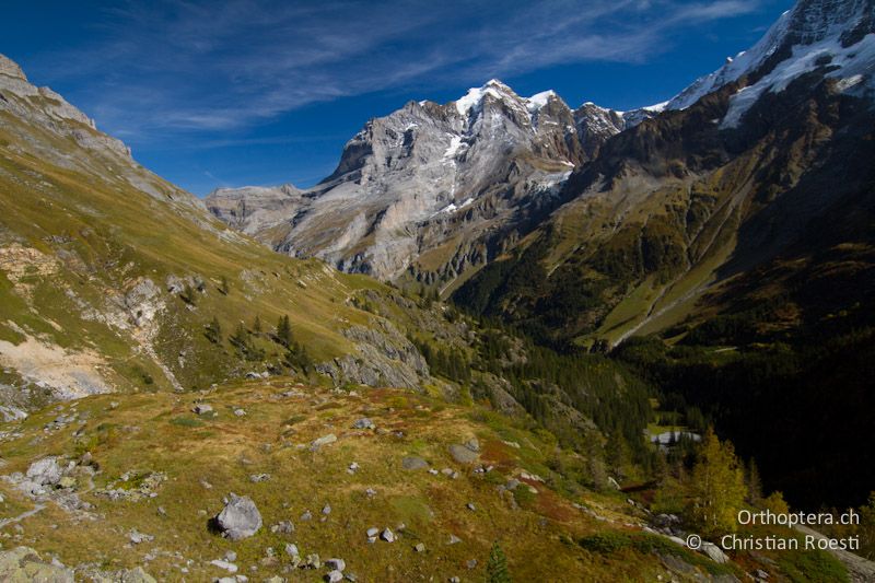 Unterschiedlich exponierte Wiesen und Zwergstrauchheiden - CH, BE, Stechelberg, 03.010.2012